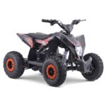 Mini Quad Eléctrico WR1300 LITIO - imagen 2