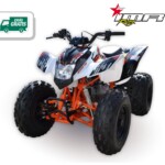 QUAD ATV 150 IMR