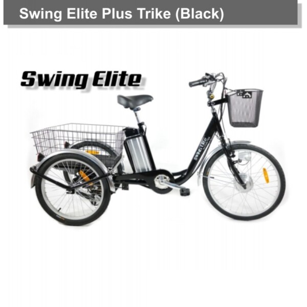 Triciclo Eléctrico Swing ELITE Plus 250W/10AH