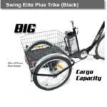 Triciclo Eléctrico Swing ELITE Plus 250W/10AH - imagen 4