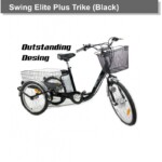 Triciclo Eléctrico Swing ELITE Plus 250W/10AH - imagen 5