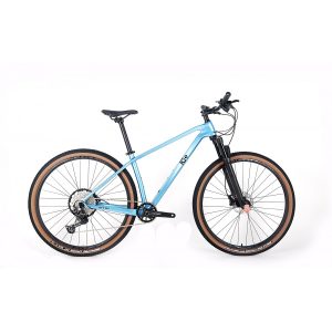 Bicicleta Eléctrica ICE MT10