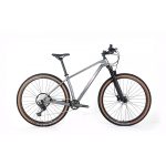 Bicicleta Eléctrica ICE MT10 - imagen 3
