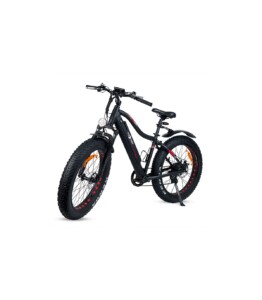 Fat bike eléctrica 29"