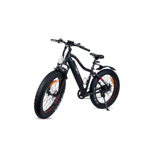 Fat bike eléctrica ECOXTREM 29" 350w 10ah