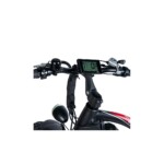 Fat bike eléctrica ECOXTREM 29" 350w 10ah - imagen 4