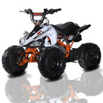 QUAD ATV 110 IMR