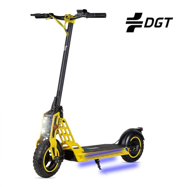 Patinete eléctrico ECOXTREM Bison 800w (DGT)