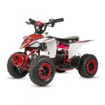 Mini Quad Eléctrico ECOXTREM 1000W Tiger