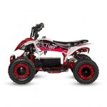 Mini Quad Eléctrico ECOXTREM 1000W Tiger Off-Road - imagen 2