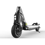 Dualtron Popular (Single/Dual motor) - imagen 5