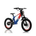 Bicicleta eléctrica 500W Roan RFN Evo Racing 18" - imagen 5