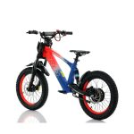 Bicicleta eléctrica 500W Roan RFN Evo Racing 18" - imagen 4