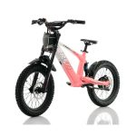 Bicicleta eléctrica 500W Roan RFN Evo Racing 18" - imagen 9