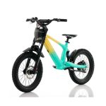 Bicicleta eléctrica 500W Roan RFN Evo Racing 18" - imagen 8