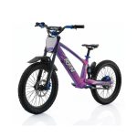 Bicicleta eléctrica 750W Roan RFN Evo Racing 20" - imagen 17